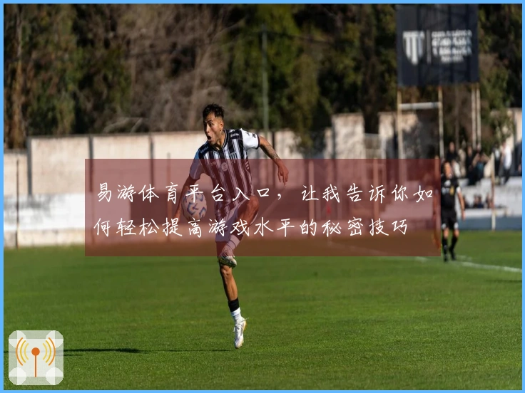易游体育平台入口，让我告诉你如何轻松提高游戏水平的秘密技巧
