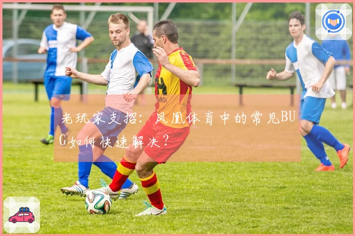 老玩家支招：凤凰体育中的常见BUG如何快速解决？