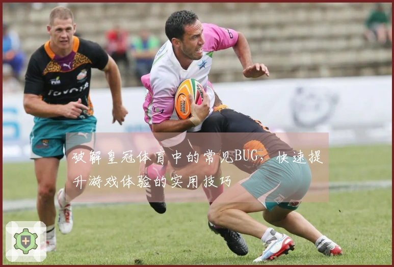 破解皇冠体育中的常见BUG，快速提升游戏体验的实用技巧